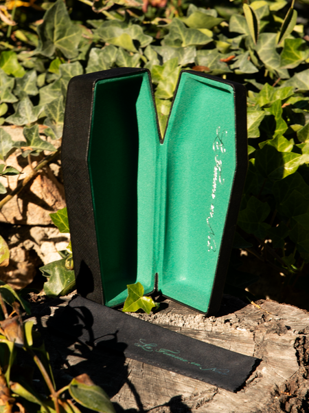 The coffin shaped protective case standing upright along with cleaning cloth.