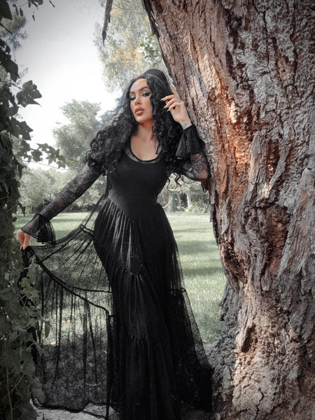 Juliet Sheer Lace Maxi Dress in Black