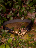 Step into the shadows of the past as the captivating model dons the Victorian Hands Belt in Antique Brass, a bewitching accessory curated by the gothic artisans of La Femme en Noir Clothing.