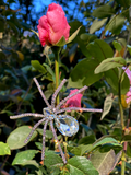The Spider Baby Rhinestone Spider Brooch pictured in front of a pink rose.