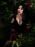 Micheline Pitt sitting in a shady garden setting surrounded by pink roses models the  Baudelaire Wiggle Dress in Oxblood.