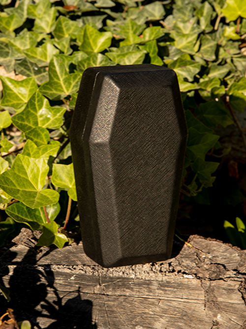 The Vamp Coffin Sunglass Case closed and sitting upright on a tree stump.