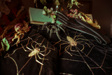 A product shot of the A Spider's Kiss skirt with a pair of gloves, an old book, dried flowers, and a tarantula.