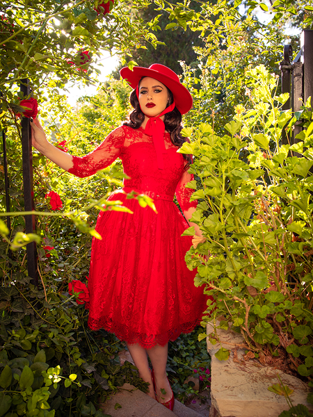 Ladies model dress image outlet