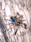 The Black Widow Rhinestone Spider Brooch in Aurora Borealis coloring.